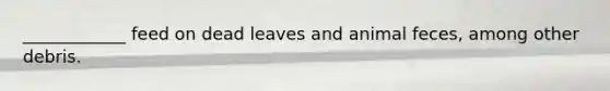 ____________ feed on dead leaves and animal feces, among other debris.