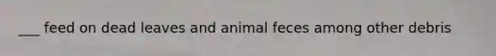 ___ feed on dead leaves and animal feces among other debris