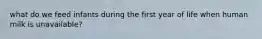what do we feed infants during the first year of life when human milk is unavailable?