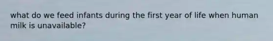 what do we feed infants during the first year of life when human milk is unavailable?