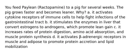 You feed Paylean (Ractopamine) to a pig for several weeks. The pig grows faster and becomes leaner. Why? a. it activates cytokine receptors of immune cells to help fight infections of the gastrointestinal tract b. it stimulates the enzymes in liver that convert estrogens to androgens, which promote lean gain c. it increases rates of protein digestion, amino acid absorption, and muscle protein synthesis d. it activates β-adrenergic receptors in muscle and adipose to promote protein accretion and lipid mobilization