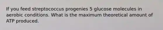 If you feed streptococcus progenies 5 glucose molecules in aerobic conditions. What is the maximum theoretical amount of ATP produced.