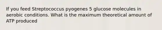 If you feed Streptococcus pyogenes 5 glucose molecules in aerobic conditions. What is the maximum theoretical amount of ATP produced