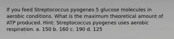 If you feed Streptococcus pyogenes 5 glucose molecules in aerobic conditions. What is the maximum theoretical amount of ATP produced. Hint: Streptococcus pyogenes uses aerobic respiration. a. 150 b. 160 c. 190 d. 125