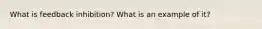 What is feedback inhibition? What is an example of it?