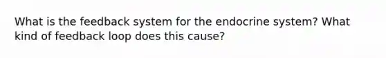 What is the feedback system for the endocrine system? What kind of feedback loop does this cause?