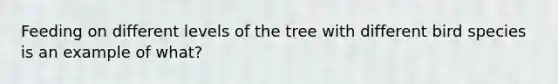 Feeding on different levels of the tree with different bird species is an example of what?