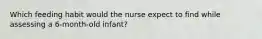 Which feeding habit would the nurse expect to find while assessing a 6-month-old infant?