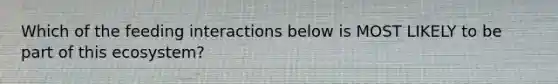 Which of the feeding interactions below is MOST LIKELY to be part of this ecosystem?