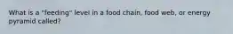 What is a "feeding" level in a food chain, food web, or energy pyramid called?