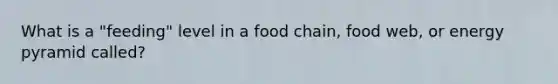 What is a "feeding" level in a food chain, food web, or energy pyramid called?