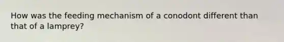 How was the feeding mechanism of a conodont different than that of a lamprey?