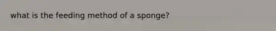 what is the feeding method of a sponge?