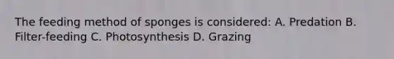 The feeding method of sponges is considered: A. Predation B. Filter-feeding C. Photosynthesis D. Grazing