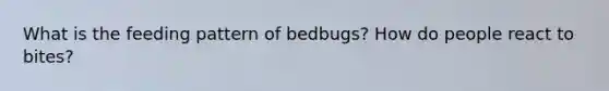 What is the feeding pattern of bedbugs? How do people react to bites?