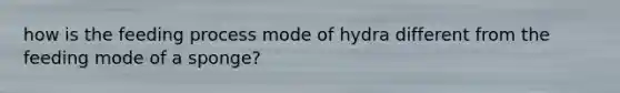 how is the feeding process mode of hydra different from the feeding mode of a sponge?