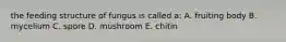 the feeding structure of fungus is called a: A. fruiting body B. mycelium C. spore D. mushroom E. chitin