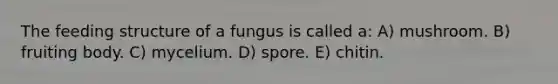 The feeding structure of a fungus is called a: A) mushroom. B) fruiting body. C) mycelium. D) spore. E) chitin.