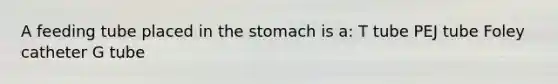 A feeding tube placed in the stomach is a: T tube PEJ tube Foley catheter G tube