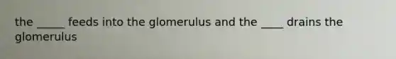 the _____ feeds into the glomerulus and the ____ drains the glomerulus