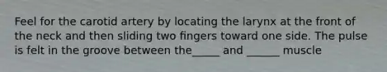 Feel for the carotid artery by locating the larynx at the front of the neck and then sliding two ﬁngers toward one side. The pulse is felt in the groove between the_____ and ______ muscle