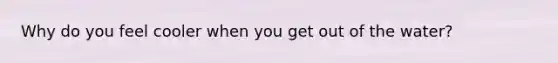 Why do you feel cooler when you get out of the water?