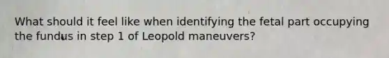 What should it feel like when identifying the fetal part occupying the fundus in step 1 of Leopold maneuvers?