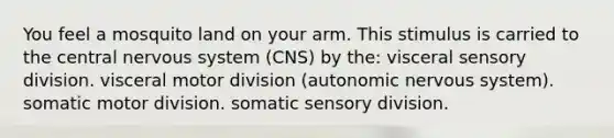 You feel a mosquito land on your arm. This stimulus is carried to the central nervous system (CNS) by the: visceral sensory division. visceral motor division (autonomic nervous system). somatic motor division. somatic sensory division.