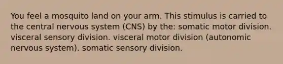 You feel a mosquito land on your arm. This stimulus is carried to the central nervous system (CNS) by the: somatic motor division. visceral sensory division. visceral motor division (autonomic nervous system). somatic sensory division.