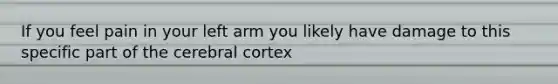 If you feel pain in your left arm you likely have damage to this specific part of <a href='https://www.questionai.com/knowledge/kcT4ZRn753-the-cerebral-cortex' class='anchor-knowledge'>the cerebral cortex</a>