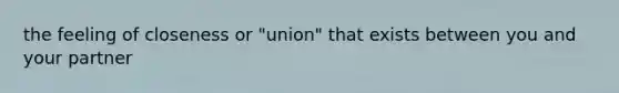 the feeling of closeness or "union" that exists between you and your partner