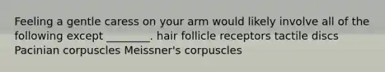 Feeling a gentle caress on your arm would likely involve all of the following except ________. hair follicle receptors tactile discs Pacinian corpuscles Meissner's corpuscles