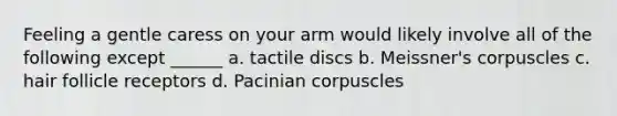 Feeling a gentle caress on your arm would likely involve all of the following except ______ a. tactile discs b. Meissner's corpuscles c. hair follicle receptors d. Pacinian corpuscles