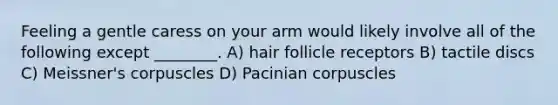 Feeling a gentle caress on your arm would likely involve all of the following except ________. A) hair follicle receptors B) tactile discs C) Meissner's corpuscles D) Pacinian corpuscles