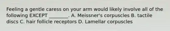 Feeling a gentle caress on your arm would likely involve all of the following EXCEPT ________. A. Meissner's corpuscles B. tactile discs C. hair follicle receptors D. Lamellar corpuscles