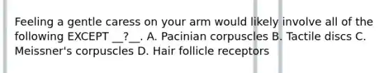 Feeling a gentle caress on your arm would likely involve all of the following EXCEPT __?__. A. Pacinian corpuscles B. Tactile discs C. Meissner's corpuscles D. Hair follicle receptors