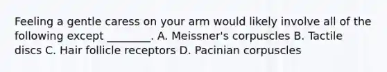 Feeling a gentle caress on your arm would likely involve all of the following except ________. A. Meissner's corpuscles B. Tactile discs C. Hair follicle receptors D. Pacinian corpuscles