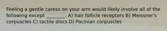 Feeling a gentle caress on your arm would likely involve all of the following except ________. A) hair follicle receptors B) Meissner's corpuscles C) tactile discs D) Pacinian corpuscles