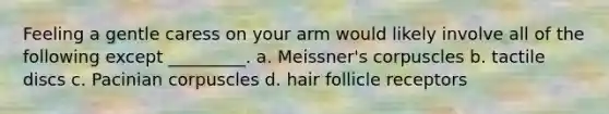 Feeling a gentle caress on your arm would likely involve all of the following except _________. a. Meissner's corpuscles b. tactile discs c. Pacinian corpuscles d. hair follicle receptors