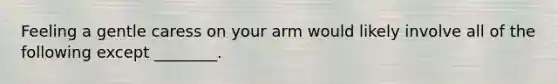 Feeling a gentle caress on your arm would likely involve all of the following except ________.