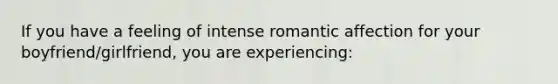 If you have a feeling of intense romantic affection for your boyfriend/girlfriend, you are experiencing: