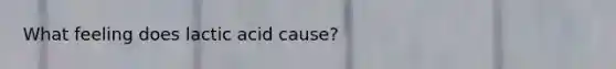 What feeling does lactic acid cause?