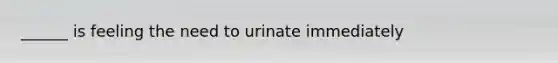 ______ is feeling the need to urinate immediately