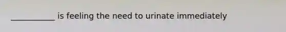 ___________ is feeling the need to urinate immediately