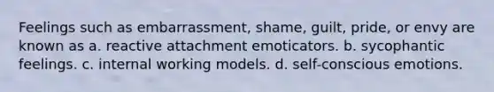 Feelings such as embarrassment, shame, guilt, pride, or envy are known as a. reactive attachment emoticators. b. sycophantic feelings. c. internal working models. d. self-conscious emotions.