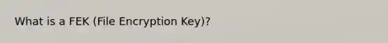 What is a FEK (File Encryption Key)?