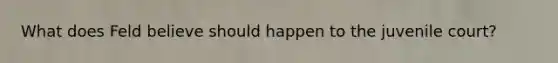 What does Feld believe should happen to the juvenile court?