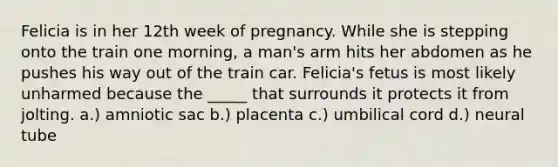 Felicia is in her 12th week of pregnancy. While she is stepping onto the train one morning, a man's arm hits her abdomen as he pushes his way out of the train car. Felicia's fetus is most likely unharmed because the _____ that surrounds it protects it from jolting. a.) amniotic sac b.) placenta c.) umbilical cord d.) neural tube