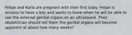 Felipe and Karla are pregnant with their first baby. Felipe is anxious to have a boy and wants to know when he will be able to see the external genital organs on an ultrasound. Their obstetrician should tell them the genital organs will become apparent at about how many weeks?