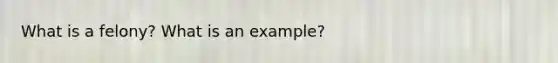 What is a felony? What is an example?